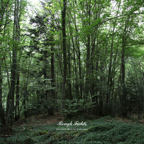 Rough Fields