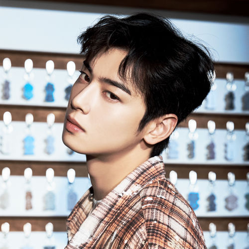 Cha eun-woo
