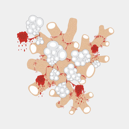 Saxon Shore