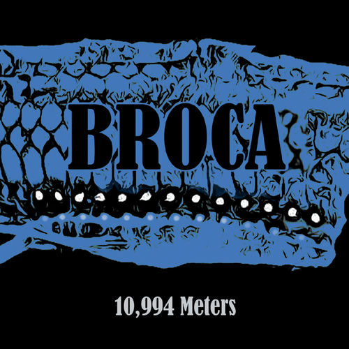 Broca