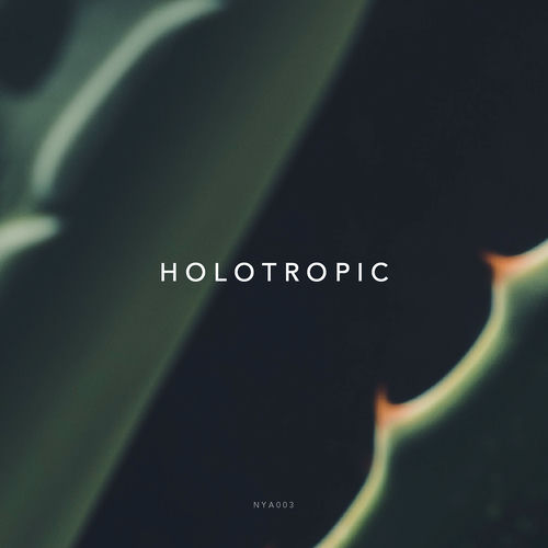 Hole - Topic