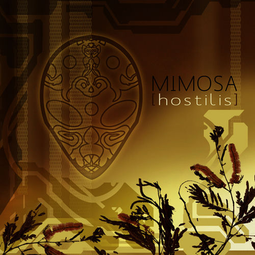 Mimosa