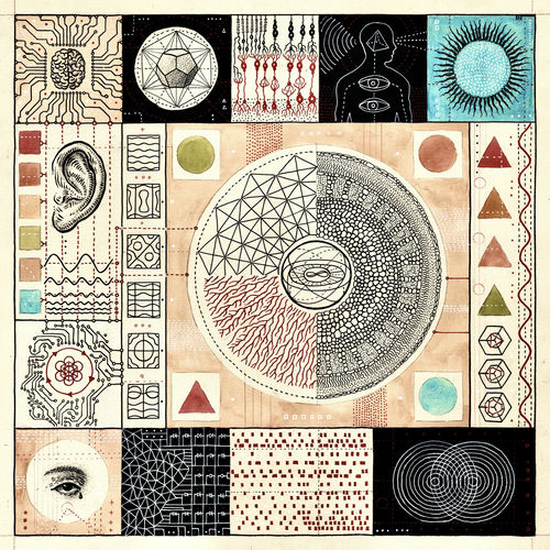 Rob Clouth